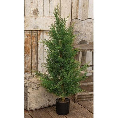 Potted McKinley Cedar Tree, 3ft - The Fox Decor
